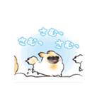 動くペキニーズ！！8秋とんで冬（個別スタンプ：8）