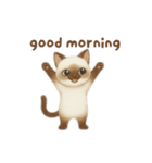 siamese cat ＆  Hachiware cat（個別スタンプ：1）