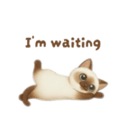 siamese cat ＆  Hachiware cat（個別スタンプ：13）