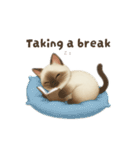 siamese cat ＆  Hachiware cat（個別スタンプ：14）