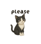 siamese cat ＆  Hachiware cat（個別スタンプ：22）