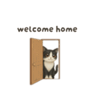 siamese cat ＆  Hachiware cat（個別スタンプ：23）