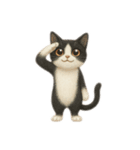 siamese cat ＆  Hachiware cat（個別スタンプ：27）