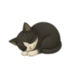 siamese cat ＆  Hachiware cat（個別スタンプ：32）