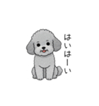 煽る・ポジティブトイプードル（個別スタンプ：3）