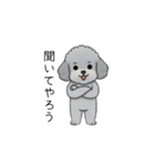 煽る・ポジティブトイプードル（個別スタンプ：6）