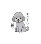 煽る・ポジティブトイプードル（個別スタンプ：7）