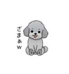 煽る・ポジティブトイプードル（個別スタンプ：10）