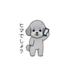 煽る・ポジティブトイプードル（個別スタンプ：11）