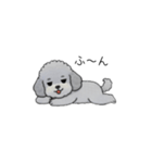 煽る・ポジティブトイプードル（個別スタンプ：14）