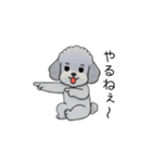 煽る・ポジティブトイプードル（個別スタンプ：15）