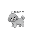 煽る・ポジティブトイプードル（個別スタンプ：17）