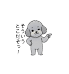 煽る・ポジティブトイプードル（個別スタンプ：18）