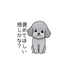 煽る・ポジティブトイプードル（個別スタンプ：22）