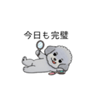 煽る・ポジティブトイプードル（個別スタンプ：24）