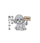 煽る・ポジティブトイプードル（個別スタンプ：25）