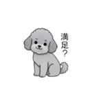 煽る・ポジティブトイプードル（個別スタンプ：28）