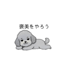 煽る・ポジティブトイプードル（個別スタンプ：30）