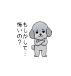 煽る・ポジティブトイプードル（個別スタンプ：31）