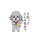 煽る・ポジティブトイプードル（個別スタンプ：32）
