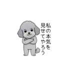 煽る・ポジティブトイプードル（個別スタンプ：35）