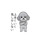 煽る・ポジティブトイプードル（個別スタンプ：36）
