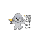 煽る・ポジティブトイプードル（個別スタンプ：39）
