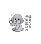 煽る・ポジティブトイプードル（個別スタンプ：40）
