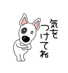 【敬語】鼻デカ犬 テリア鼻デカ犬3（個別スタンプ：22）