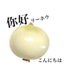 国産玉ねぎ【台湾語】2（個別スタンプ：1）