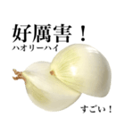 国産玉ねぎ【台湾語】2（個別スタンプ：3）