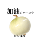 国産玉ねぎ【台湾語】2（個別スタンプ：5）