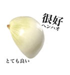 国産玉ねぎ【台湾語】2（個別スタンプ：7）