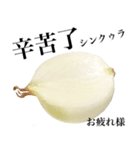 国産玉ねぎ【台湾語】2（個別スタンプ：8）