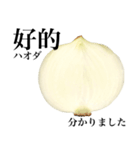 国産玉ねぎ【台湾語】2（個別スタンプ：10）