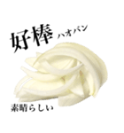 国産玉ねぎ【台湾語】2（個別スタンプ：11）