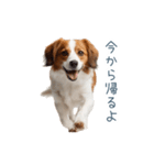 毎日使えるコーイケルホンディエ【連絡】（個別スタンプ：3）