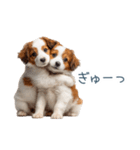 毎日使えるコーイケルホンディエ【連絡】（個別スタンプ：11）