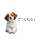 毎日使えるコーイケルホンディエ【連絡】（個別スタンプ：12）