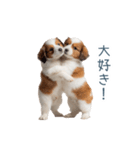 毎日使えるコーイケルホンディエ【連絡】（個別スタンプ：20）