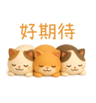 ニャンニャンの日常1（個別スタンプ：6）