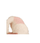 踊る！横揺れ界隈トイプードル2（個別スタンプ：1）