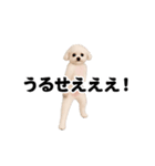 踊る！横揺れ界隈トイプードル2（個別スタンプ：9）