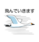 いやしの日常 白鳥編（個別スタンプ：3）