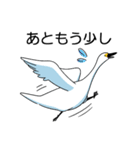 いやしの日常 白鳥編（個別スタンプ：4）