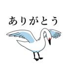 いやしの日常 白鳥編（個別スタンプ：18）