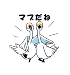 いやしの日常 白鳥編（個別スタンプ：35）