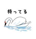 いやしの日常 白鳥編（個別スタンプ：39）