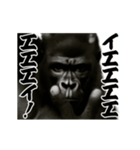 パリピ横揺れゴリラ（個別スタンプ：1）