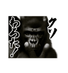 パリピ横揺れゴリラ（個別スタンプ：7）